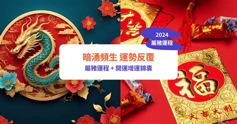 2024年猪运程|【屬豬2024生肖運勢】暗湧頻生，運勢反覆｜屬豬運 